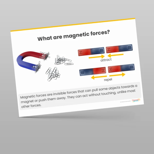 An image of the Forces and Magnets Display Pack Resource