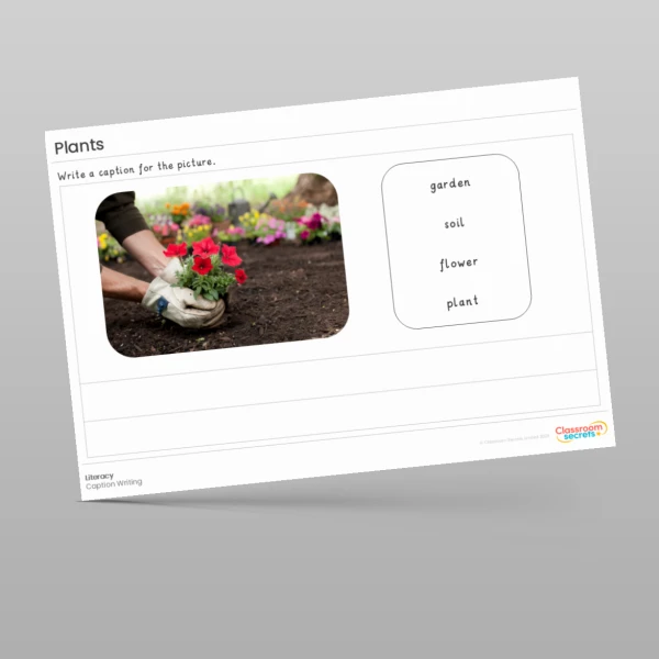 An image of the Plants Literacy Activities Resource