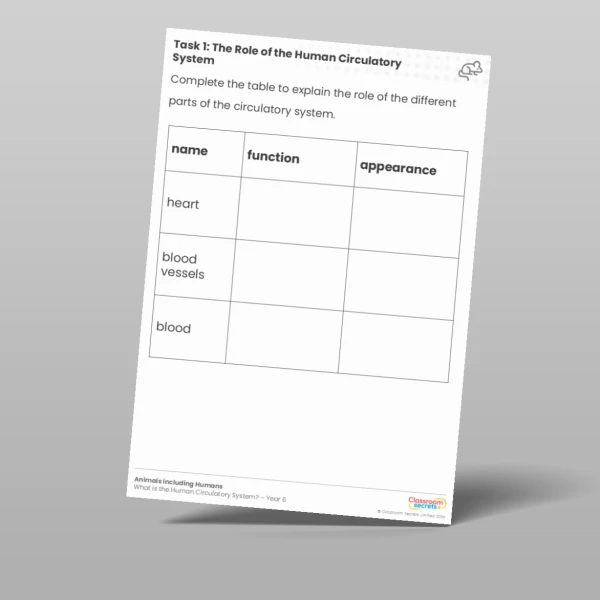 An image of the Lesson 1: The Role of the Human Circulatory System Worksheet Resource