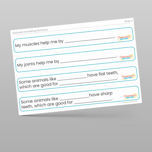 An image of the Animals including Humans Stem Sentences Resource