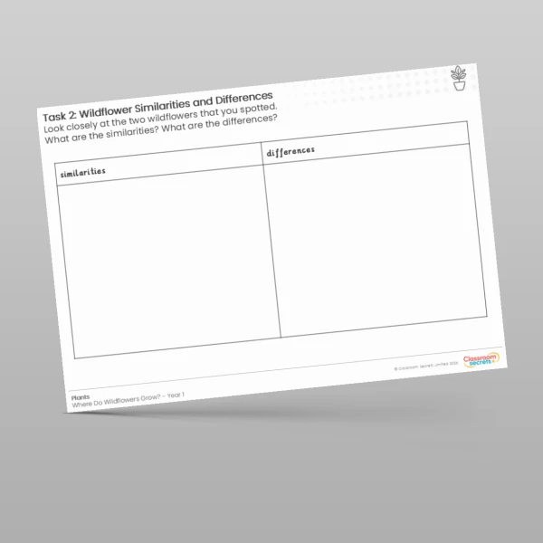 An image of the Lesson 5: Wildflower Similarities and Differences Worksheet Resource