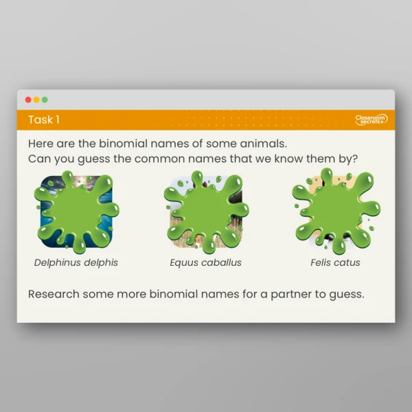 An image of the Lesson 6: Why is Carolus Linnaeus Important? Resource
