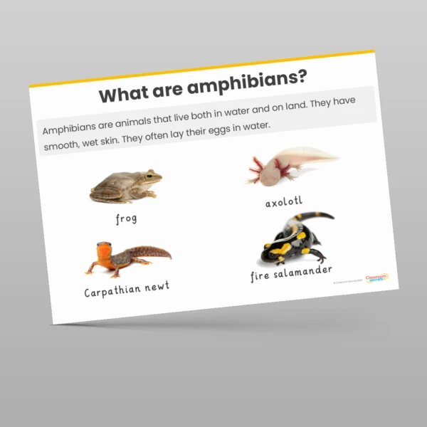 An image of the Animals including Humans Display Pack Resource