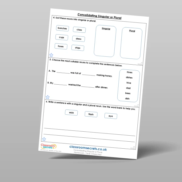 An image of the Consolidating Singular or Plural Homework Resource