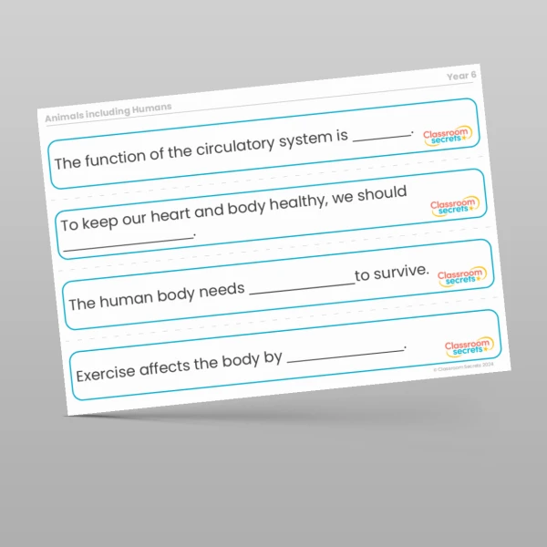 An image of the Animals including Humans Stem Sentences Resource