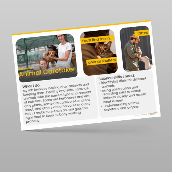 An image of the Animals Including Humans Display Pack Resource