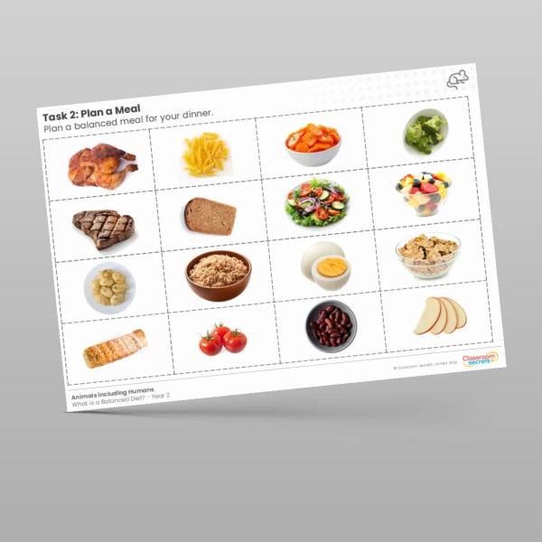 An image of the Lesson 5: Plan a Meal Worksheet Resource