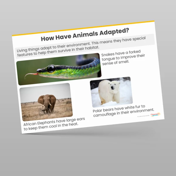 An image of the Evolution and Inheritance Display Pack Resource