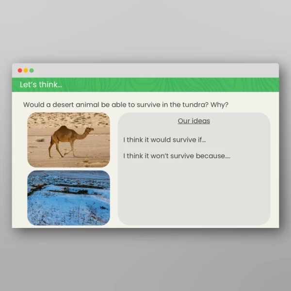 An image of the What are Biomes? Geography PPT Resource