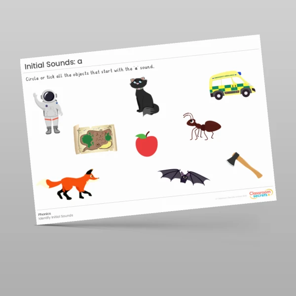 An image of the Initial Sounds Worksheet: a Resource
