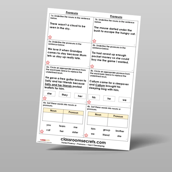 An image of the Free Pronouns Varied Fluency Resource