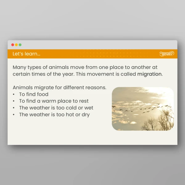 An image of the Lesson 5: How do the Seasons Affect Animals? Resource