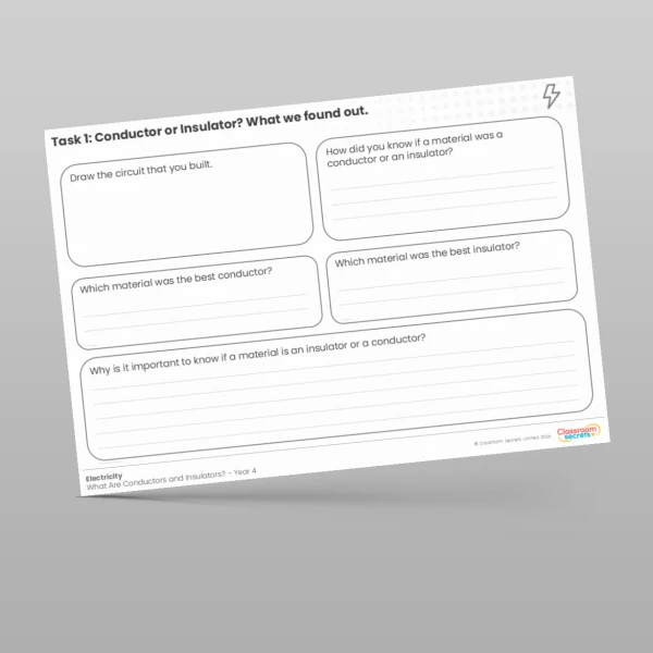 An image of the What We Found Out Worksheet Resource