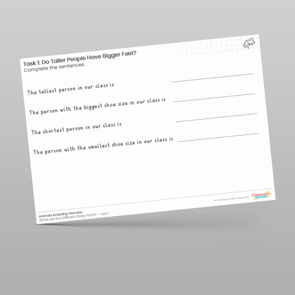 An image of the Lesson 6: Do Taller People Have Bigger Feet? Investigation Worksheet Resource