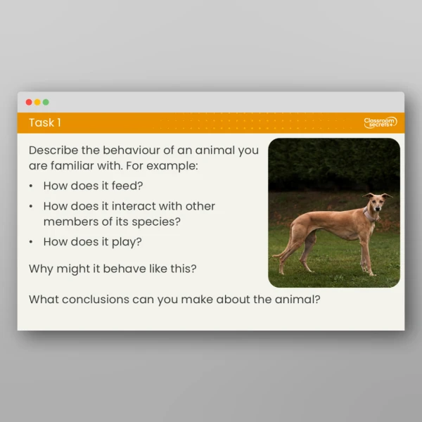 An image of the Lesson 4: What are Naturalists and Animal Behaviourists? Resource