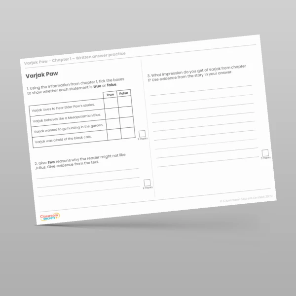 An image of the Reading Skills - Varjak Paw - Chapter 1 Resource