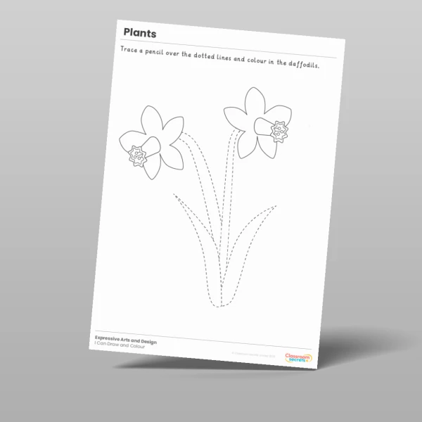 An image of the Plants I Can Draw and Colour Resource