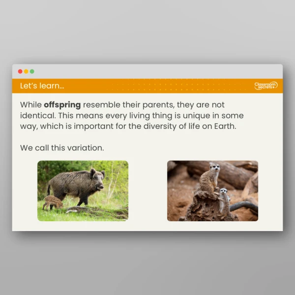 An image of the Lesson 3: What is Variation? Resource