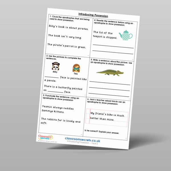 Year 2 Introducing Possession Mixed Activity Resource | Classroom Secrets