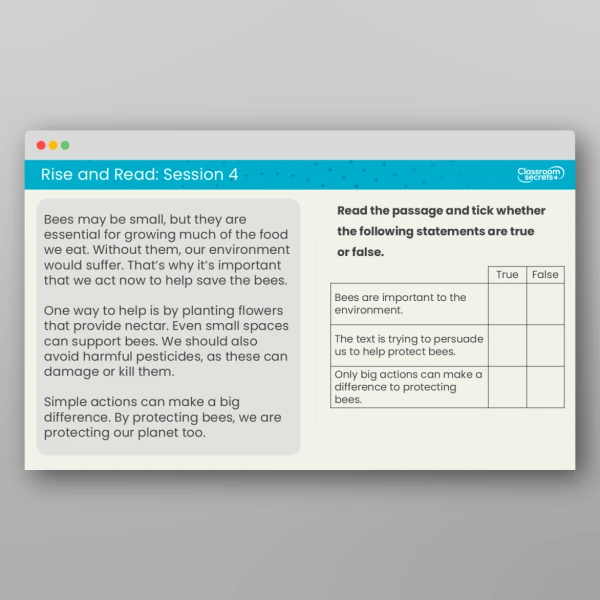 An image of the Rise and Read Bees Resource