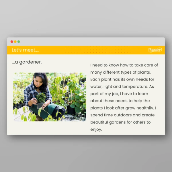 An image of the Lesson 4: What Do Plants Need to Grow? 2 Investigation Resource