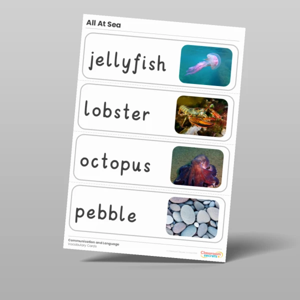 An image of the Free Amazing World - All At Sea Vocabulary Cards Resource
