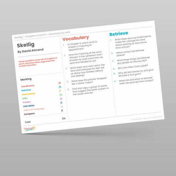 An image of the Reading Skills - Skellig - Chapters 5 & 6 Resource