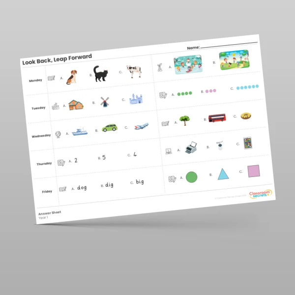 An image of the Look Back, Leap Forward Answer Sheet Resource