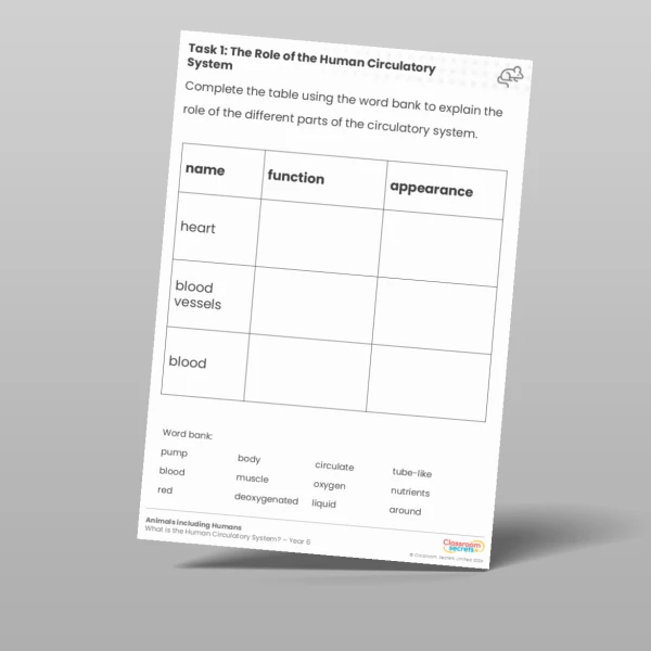 An image of the Free Lesson 1: The Role of the Human Circulatory System Worksheet Resource