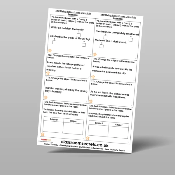 An image of the Identifying Subjects and Objects in Sentences Varied Fluency Resource