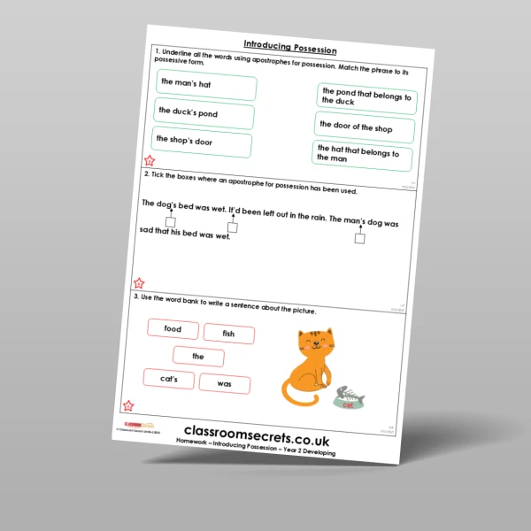 An image of the Introducing Possession Homework Resource