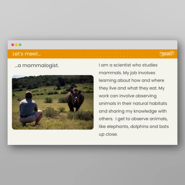 An image of the Lesson 2: What are Mammals and Birds? Resource
