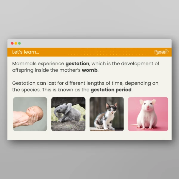 An image of the Lesson 6: How Does Reproduction Differ in Animals? Resource
