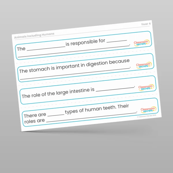 An image of the Animals including Humans Stem Sentences Resource