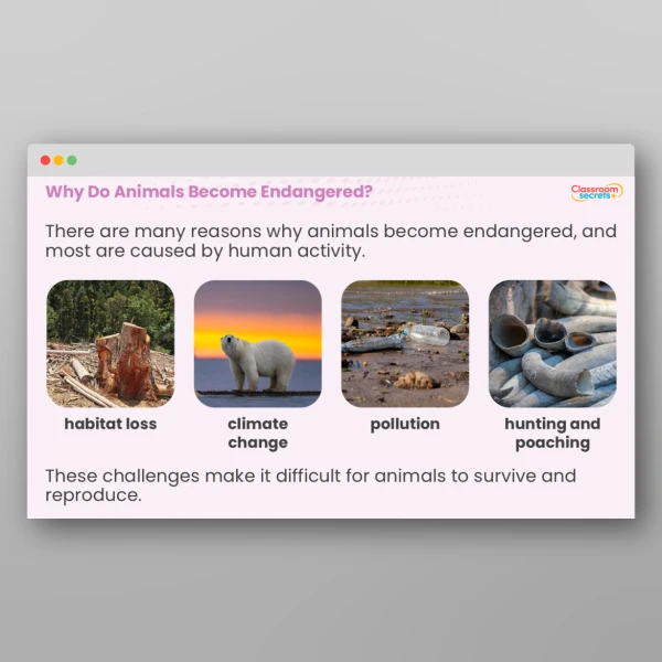 An image of the Endangered Animals Success Stories Whole School Assembly Resource