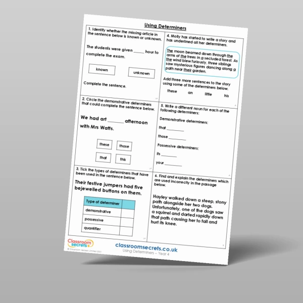An image of the Using Determiners Mixed Activity Resource
