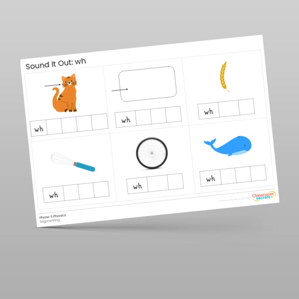 An image of the Phonics Sound It Out wh Resource