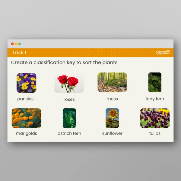 An image of the Lesson 5: How Can We Classify Plants? Resource