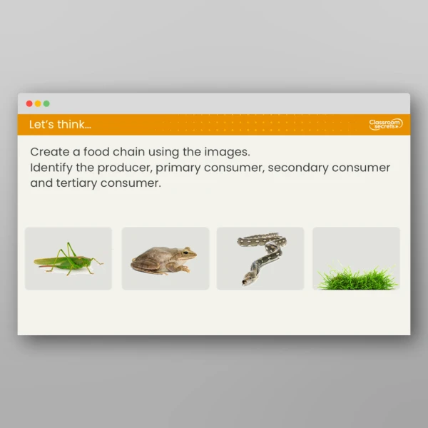 An image of the Lesson 5: What is a Food Chain? Resource