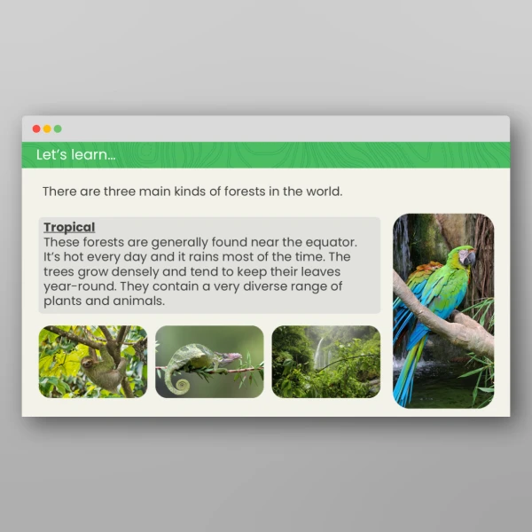 An image of the What is a Forest? Geography PPT Resource