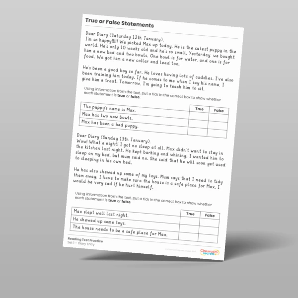 An image of the True or False Statements Reading Test Practice Resource