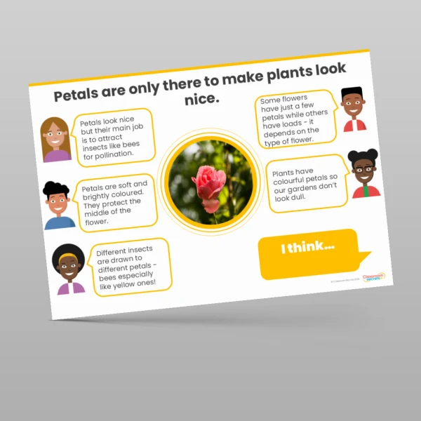 An image of the Plants Concept Cartoons Resource