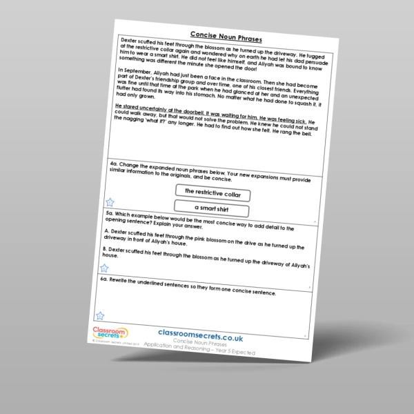 An image of the Concise Noun Phrases Application and Reasoning Resource