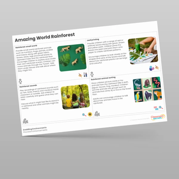 An image of the Amazing World - Rainforests Provision Enhancements Resource