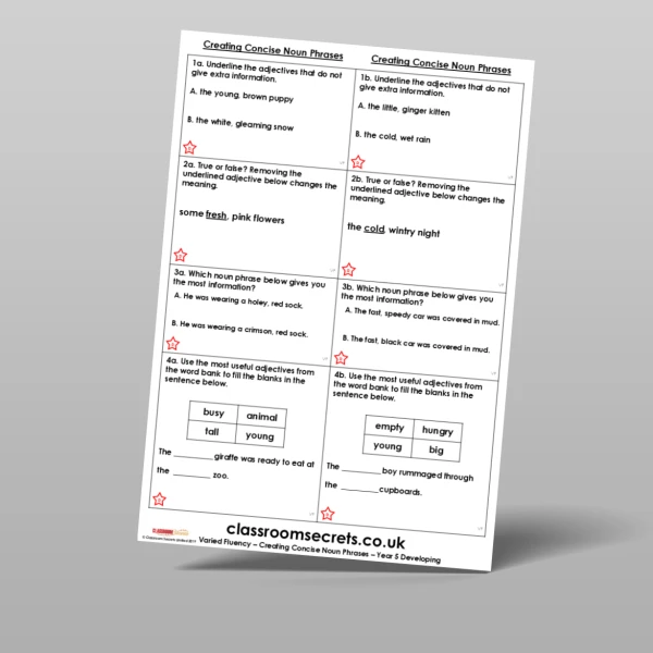 An image of the Creating Concise Noun Phrases Varied Fluency Resource