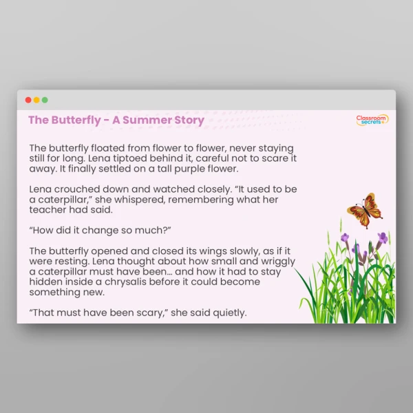 An image of the The Butterfly - A Summer Story Resource