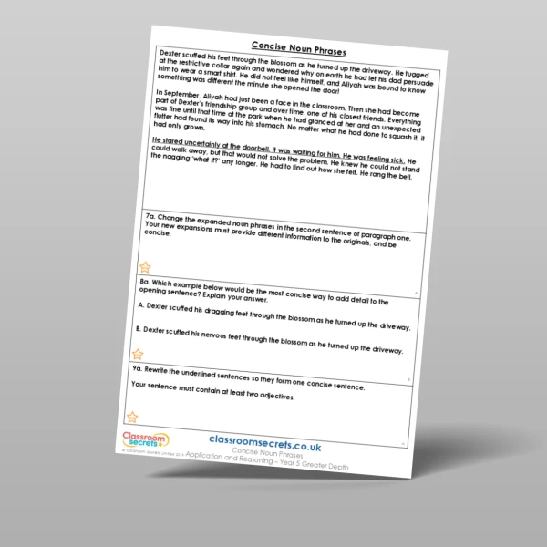 An image of the Concise Noun Phrases Application and Reasoning Resource
