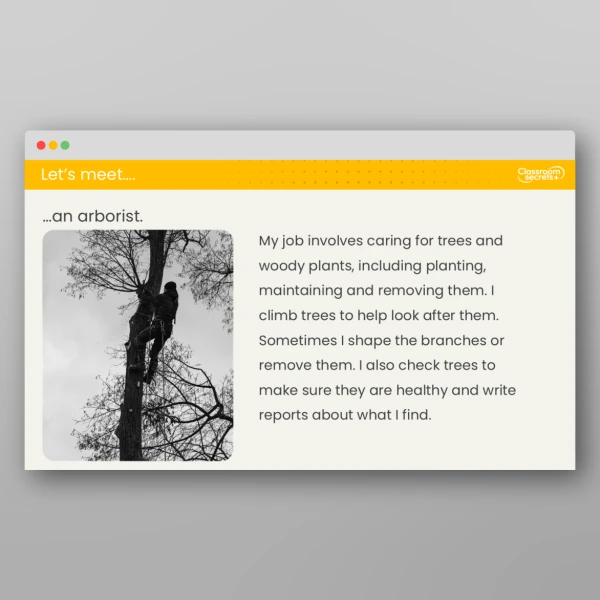 An image of the Lesson 3: What are Trees? Investigation Resource