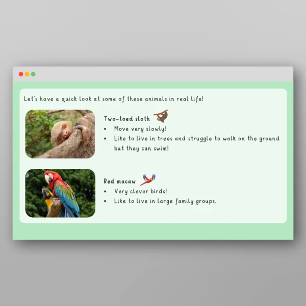 An image of the Amazing World - Rainforests Maths Story Resource