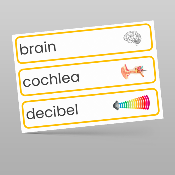 Sound Display Examples Year 4 Sound Display Pack Resource | Classroom Secrets